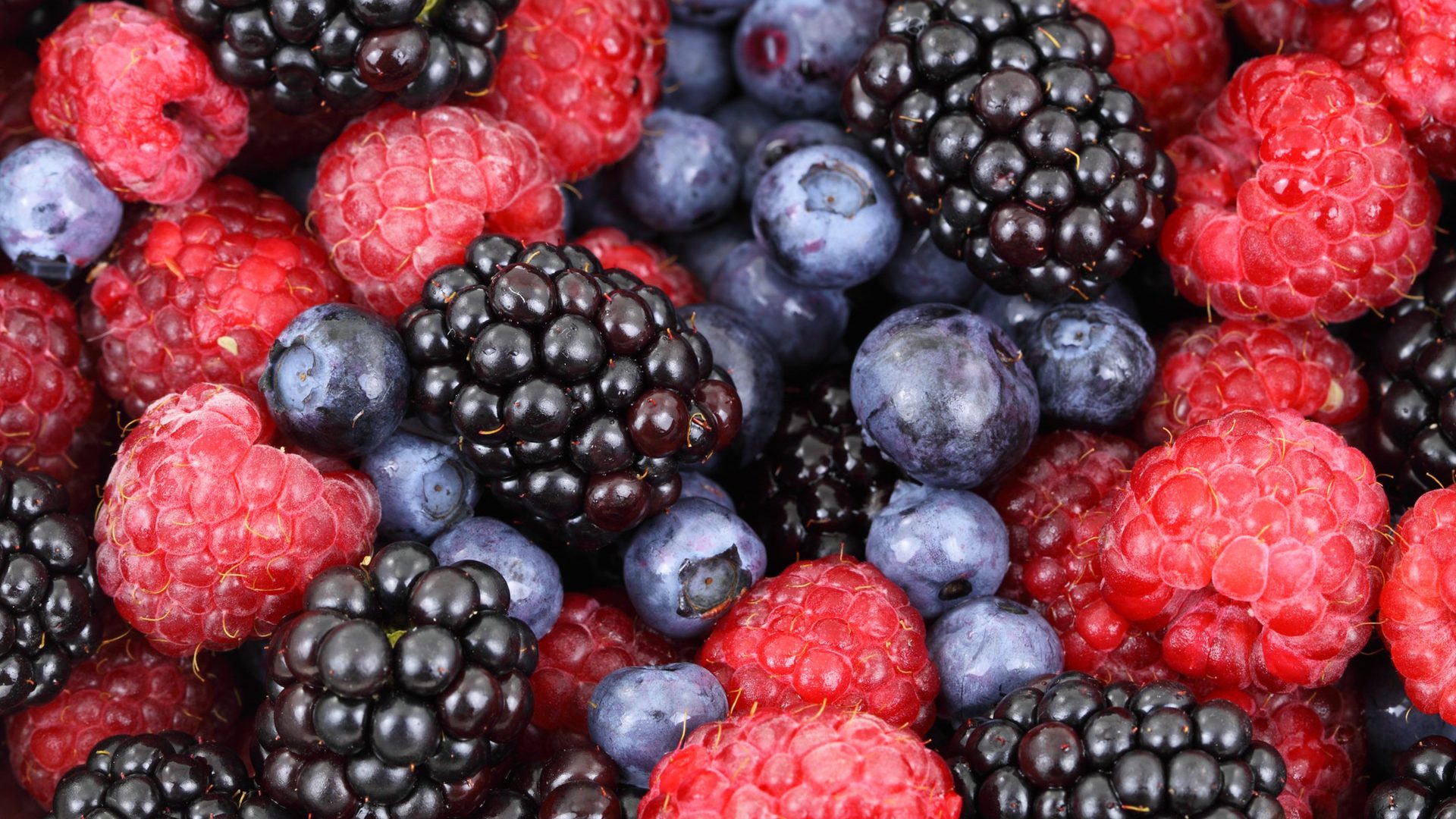 background-berries-berry-blackberries-87818